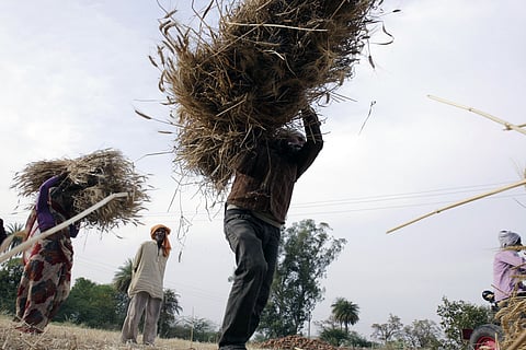 फोटो: सेंटर फॉर साइंस एंड एनवायरमेंट (सीएसई)