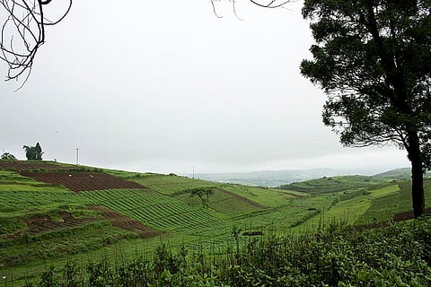 अरुणाचल, असम, बिहार, पूर्वी उत्तर प्रदेश, उत्तराखंड और पश्चिम बंगाल समेत कई राज्यों में भारी बारिश का येलो अलर्ट जारी।