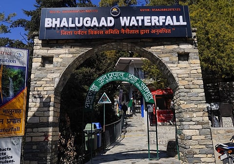 फोटो लेखकों द्वारा उपलब्ध कराई गई है