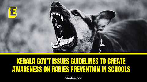 Kerala gov't issues guidelines on rabies prevention