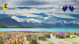 The NZ experience