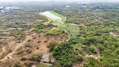 Clearing operations saw 40 excavators deployed to the site
