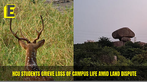 “More than just loss of trees”: HCU students reflect on losing part of campus life amid 400-acre Kancha Gachibowli row