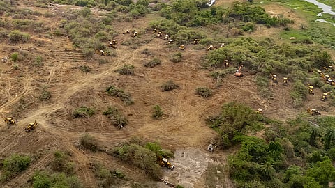 Kancha Gachibowli land must be declared forest, says SC panel in report