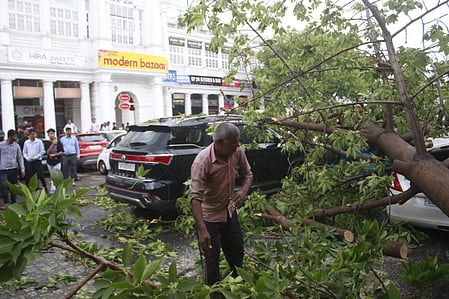 Tree uprooted in storm damages Bharathiar University MBA block, roof sheets collapse