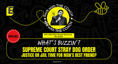 Delhi stray dog ruling 2025