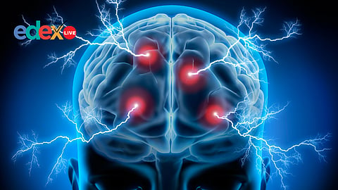 Kerala University study on brain