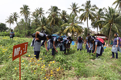 Tamil Nadu government school students to participate in Japan science initiative