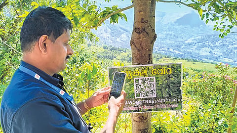 A visitor scanning the QR code attached to a tree on the IHRD College campus in Kanthalloor following the launch of the Vrikshaveda project
