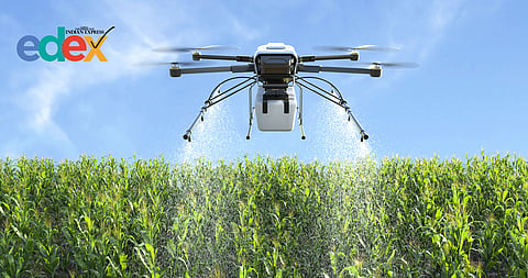 UoH seed dispersal drive