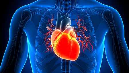 Widely used heart disease risk calculators may be failing to identify a large proportion of Indians at risk