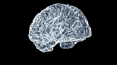 How apps are changing how everyday brain activity is studied