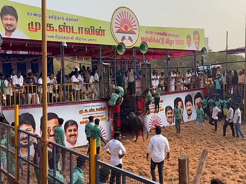 Grand Jallikattu competition underway in Trichy; 750 bulls, 500 tamers participate