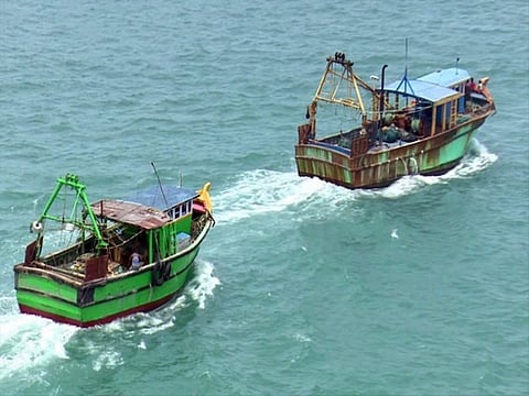 India's seafood exports: From growth to global competitiveness