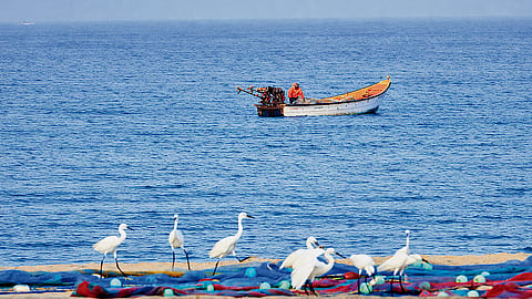 The Last Road to the Sea