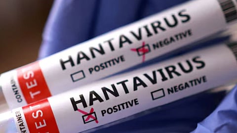 Hantavirus not spreading in India, no pandemic threat: ICMR-NIV