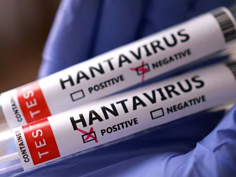 WHO confirms eight Hantavirus cases linked to Andes virus, three deaths reported