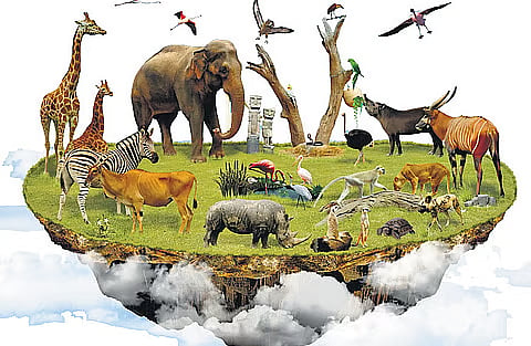 Students discover biodiversity through nature sessions at Manas