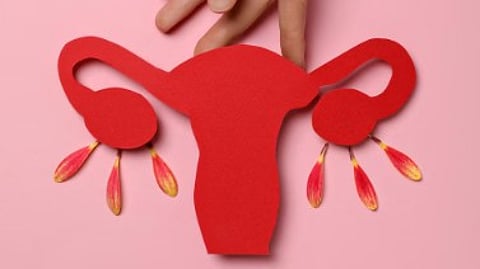 Stayfree, Menstrupedia host dialogue on breaking menstrual taboos in Ahmedabad