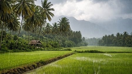 Rain expected in Tamil Nadu as temperatures begin to fall