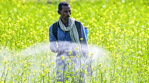 Centre steps up El Nino preparedness, forms crop watch groups