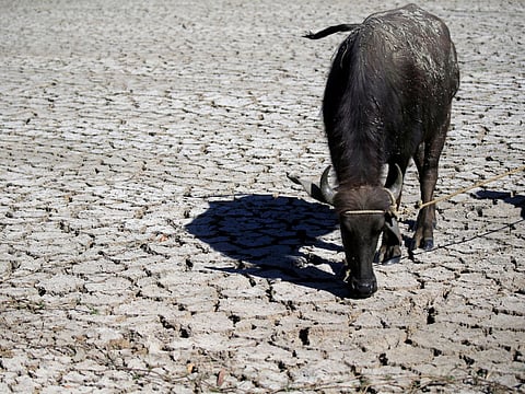 UN Chief sounds alarm on extreme weather, demands urgent climate action as El Nino nears
