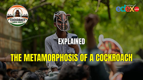 Explained: The metamorphosis of a cockroach
