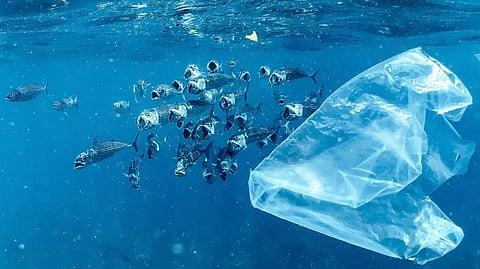 Ocean conservation cannot be measured by area alone, experts warn