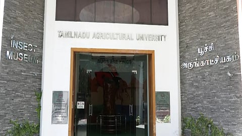 Insect Museum at Tamil Nadu Agricultural University to open online gateway for global audience