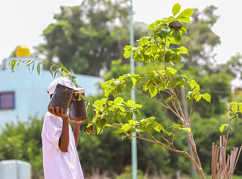 Bengaluru: A volunteer holds saplings during a mass plantation drive organised to mark the 517th birth anniversary of Nadaprabhu Kempegowda at Nadaprabhu Kempegowda Layout in Bengaluru, Karnataka, on Saturday, June 27, 2026. (Photo: IANS)