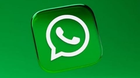 WhatsApp puts username feature on hold amid govt scrutiny
