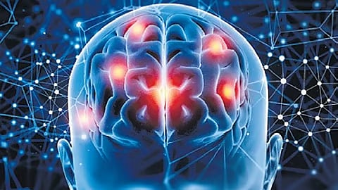 Study links early heat exposure to slower thalamus growth