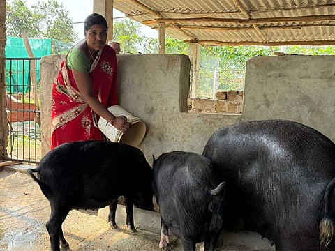 Chhattisgarh: 'Lakhpati Didi' inspires several to become self-reliant