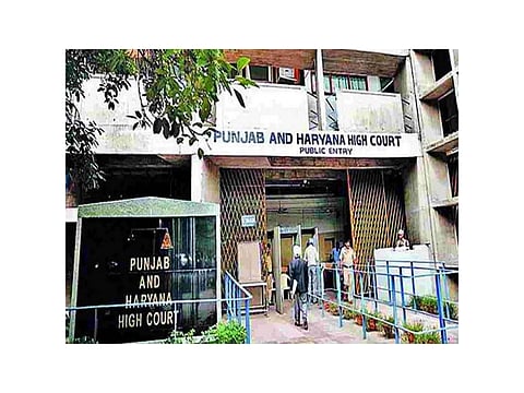 Punjab, Haryana High Court orders independent probe into PSRLM recruitment process, takes original records into custody