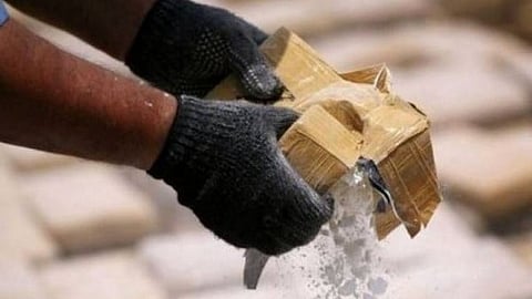 Punjab to strengthen mental health fellowship under anti-drug campaign