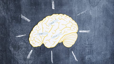 New study explores why the brain mixes up memories