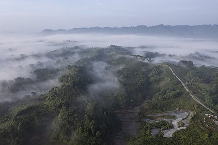 El Nino, Atlantic warming could offer early warning of Amazon heat: Study