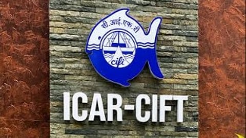 ICAR-CIFT to back GI tagging of traditional Andaman fish products