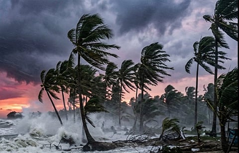 Cyclone Arnab: Schools shut in 10 Andhra districts, six Odisha districts announce closures