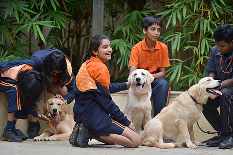 Clearly, the students are happy having the dogs around. PICS: Pushkar V