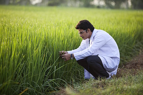 Those in this field may require to convey their findings to concerned authorities, scientific communities and even lawmakers