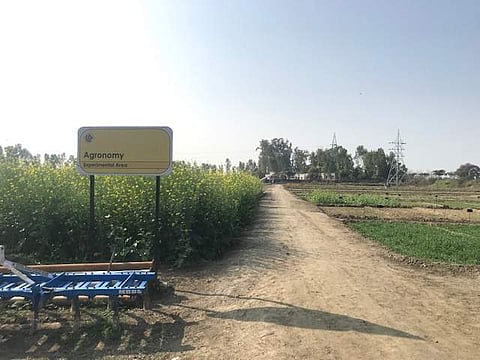 Green Grocer is steadily growing itself into a Farm to Plate Business Model by eliminating the middlemen and providing the farmers with a higher price to their produce (Pic: Shanky Sungroya)