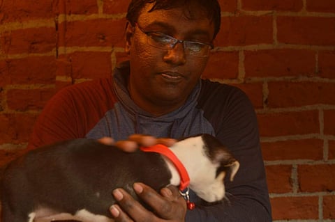 Pradeesh Chowraa has been working with stray animals for about ten years now