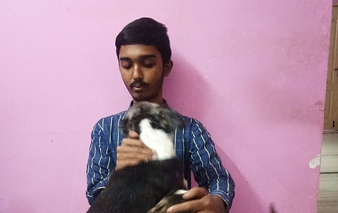 Sai estimates to have rescued about 300 animals, vaccinated and sterilised over 900 dogs