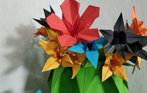 Origami at it's best | (Pic: T Ravi Kumar)