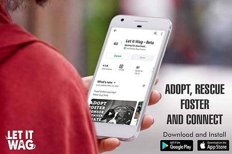 Let It Wag has launched a crowdfunding campaign to help feed animals