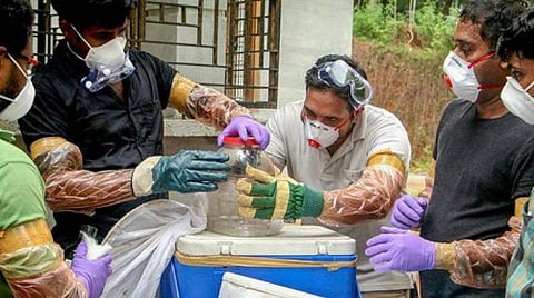 Image for representation | Pic: PTI