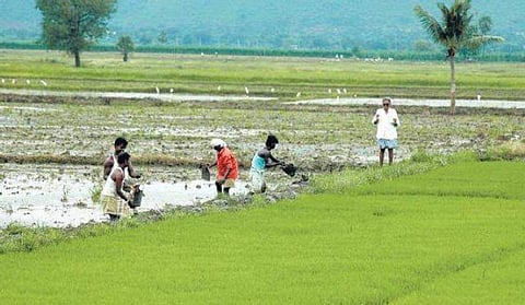 Representational image (Picture: PTI)