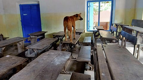 Picture for representational purposes only | (Pic: Express)illegal schools