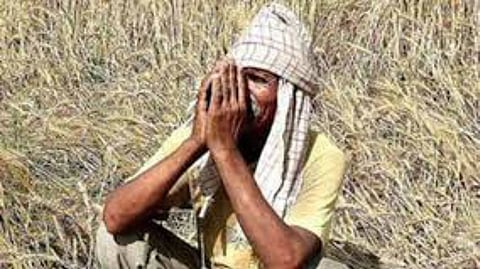 farmer